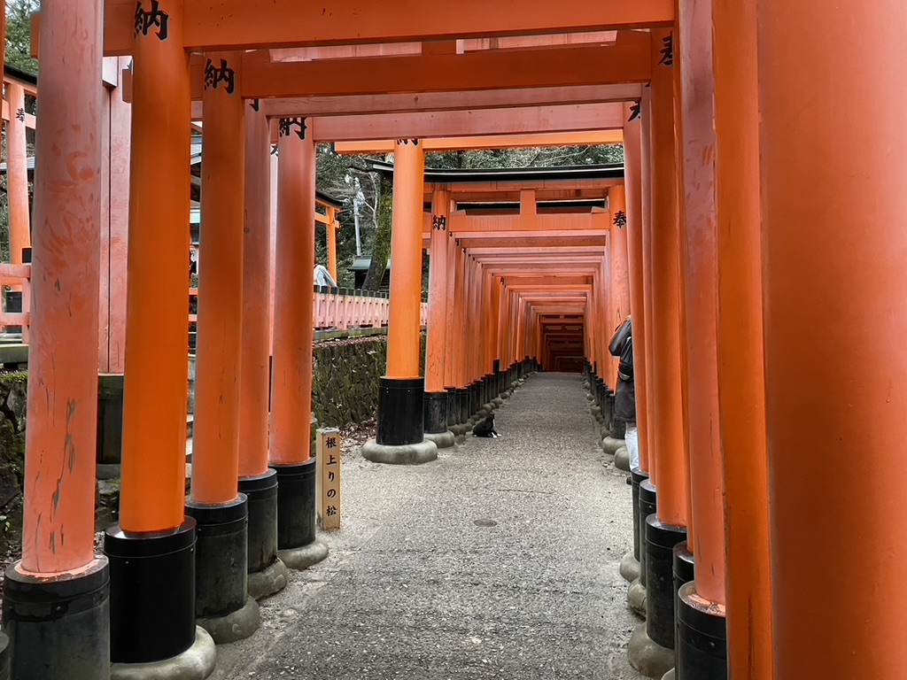 伏見稲荷大社の千本鳥居